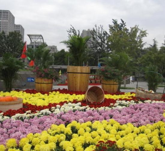 许昌城市菊展设计